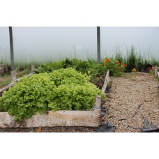 Organic for Life with Stephen Campbell - Sunday 16th April 2023